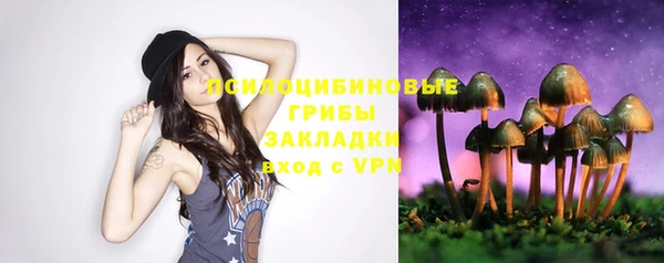 дурь Алексин
