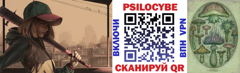 Псилоцибиновые грибы Psilocybe  Бронницы 